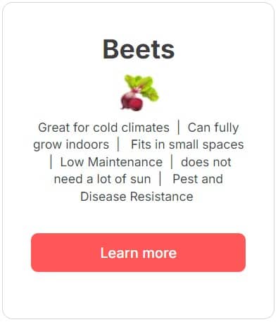 Beets