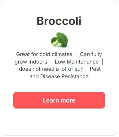 Broccoli