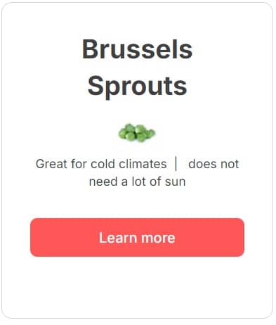 Brussels Sprouts