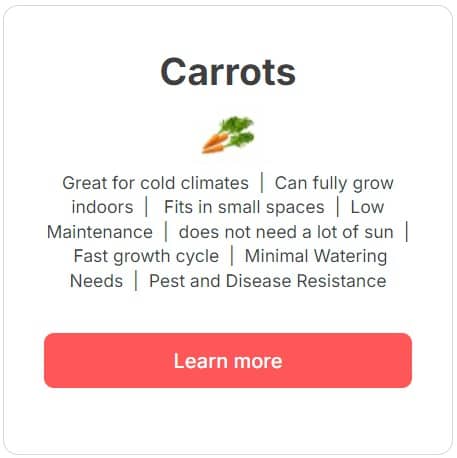 Carrots