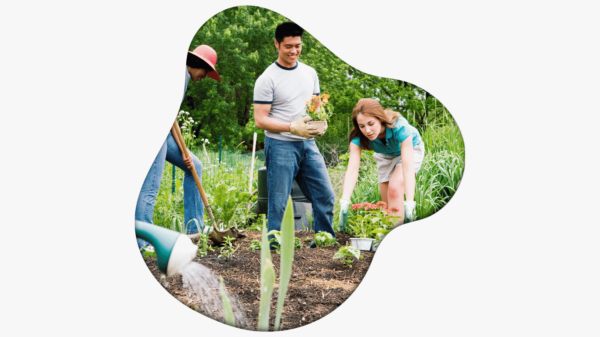 Growing Fresh Foods and Donating it to the Community