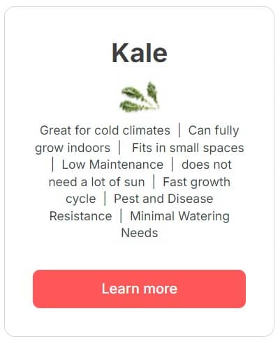 Kale