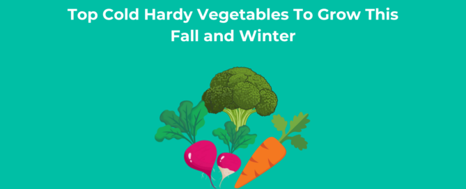 Top Cold Hardy Vegetables To Grow This Fall and Winter