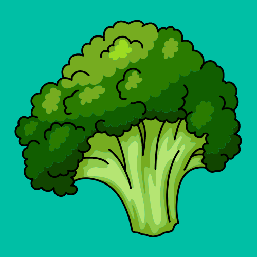 Broccoli Does Not Need a Lot of Sun