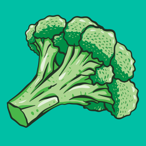 Broccoli is Great for Cold Climates