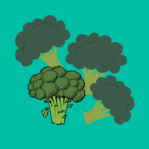 Choosing the Right Broccoli Variety