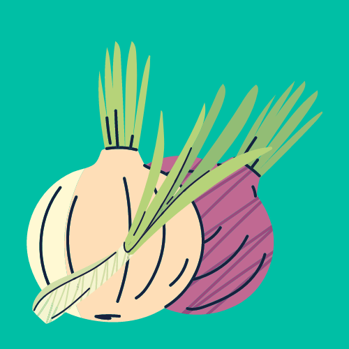 Choosing the Right Onion Variety