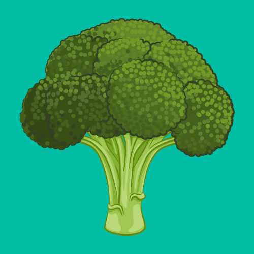 How to Grow Broccoli