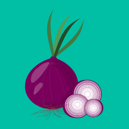 Onions Have Fast Growth Cycles