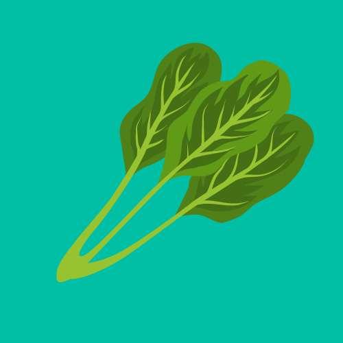 Spinach is a Low Maintenance Vegetable