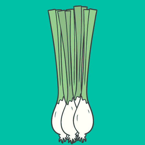 Spring Onions Fit in Small Spaces