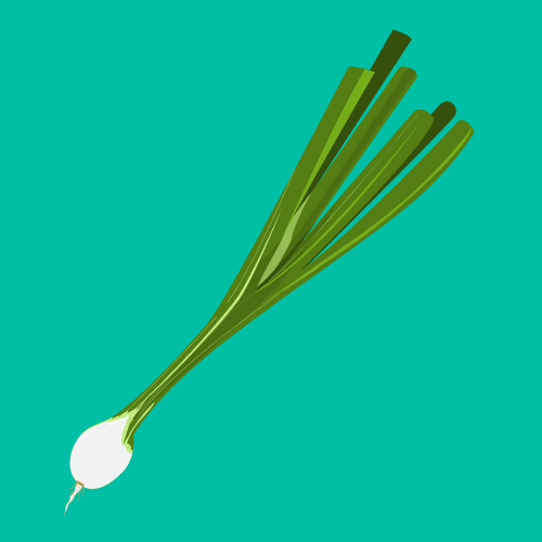 Spring Onions are Low Maintenance