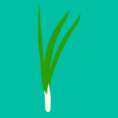 Spring Onions are Pest and Disease Resistant