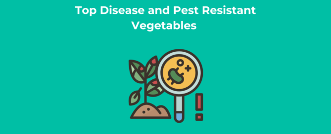 Top Disease and Pest Resistant Vegetables [Full Guide]