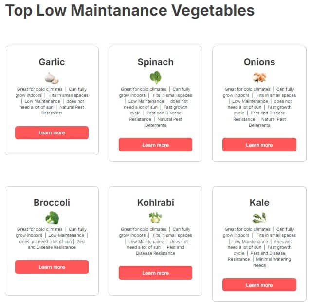 Top Low Maintanance Vegetables