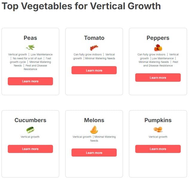 Top Vegetables for Vertical Growth