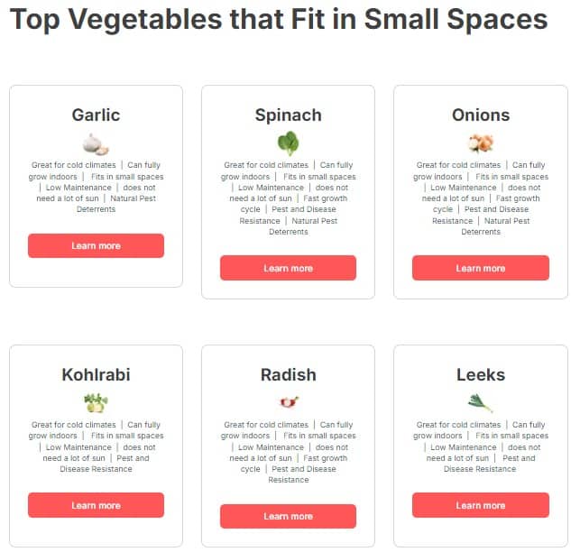 Top Vegetables that Fit in Small Spaces