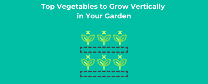 Top Vegetables to Grow Vertically in Your Garden