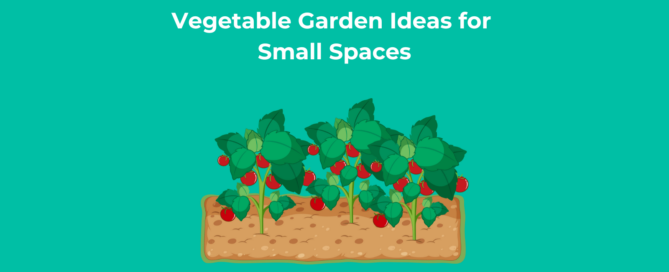 Vegetable Garden Ideas for Small Spaces