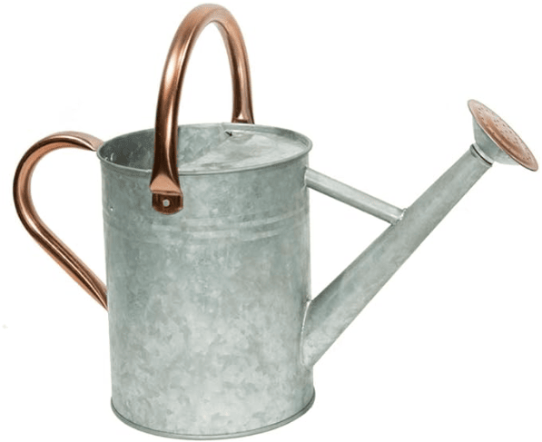 Metal Watering Can